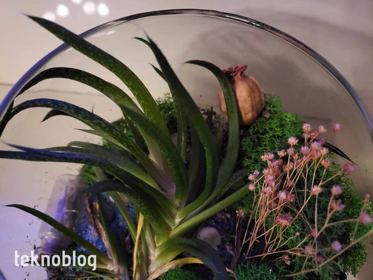 Samsung Galaxy Z Flip 3 İncelemesi