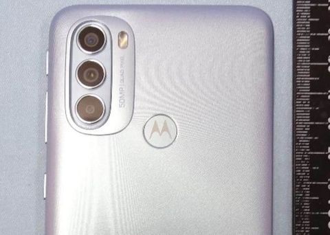 motorola moto g31