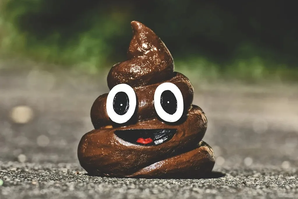 Signal kurucusu kaka emojili ilginç bir NFT’yi satışa çıkardı