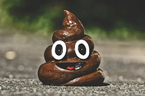 Signal kurucusu kaka emojili ilginç bir NFT’yi satışa çıkardı