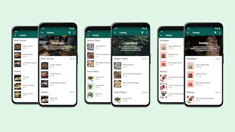 WhatsApp Collections ile alışverişi kolaylaştıracak