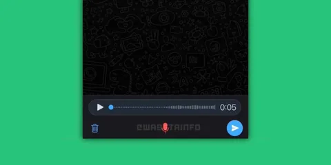 WhatsApp iOS uygulaması için yeni sesli mesaj özelliği yolda