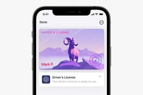 apple dijital kimlik