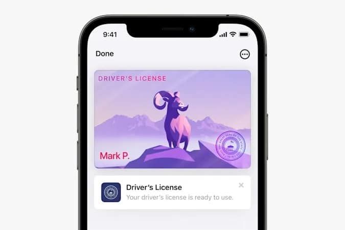 apple dijital kimlik