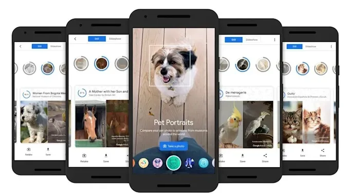 Google evcil hayvanların sanatsal ikizlerini bulacak