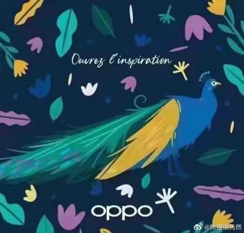 Oppo Find N katlanabilir telefon için yeni paylaşım