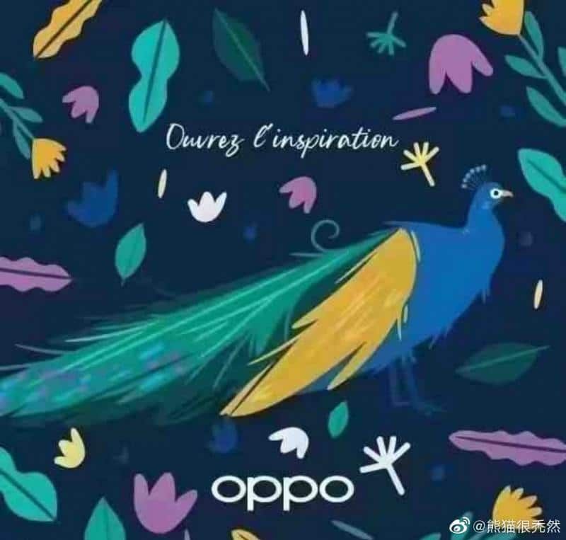 oppo katlanabilir telefon