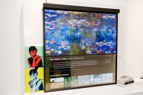 lg display oled shelf