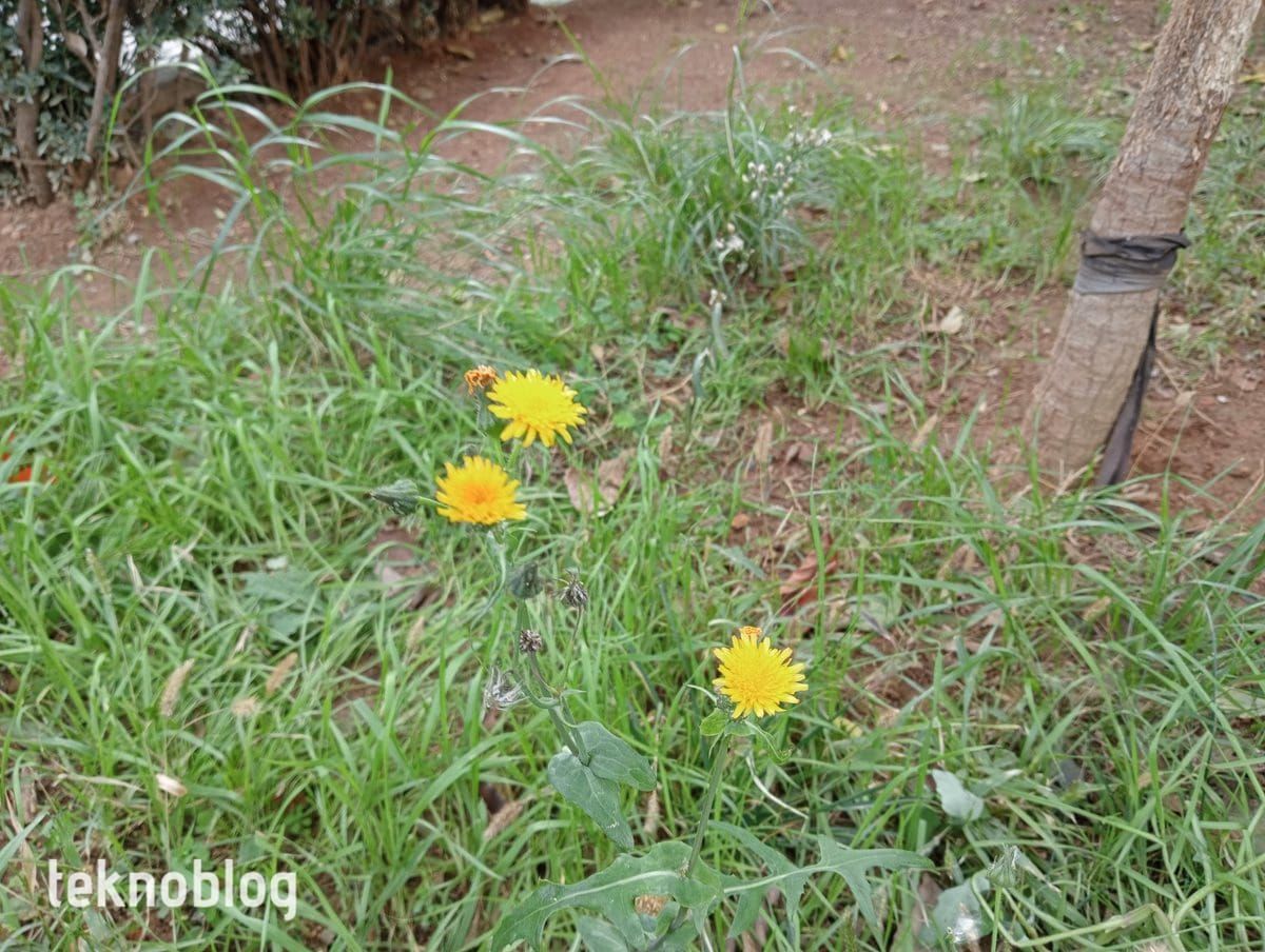 Oppo A55 İncelemesi