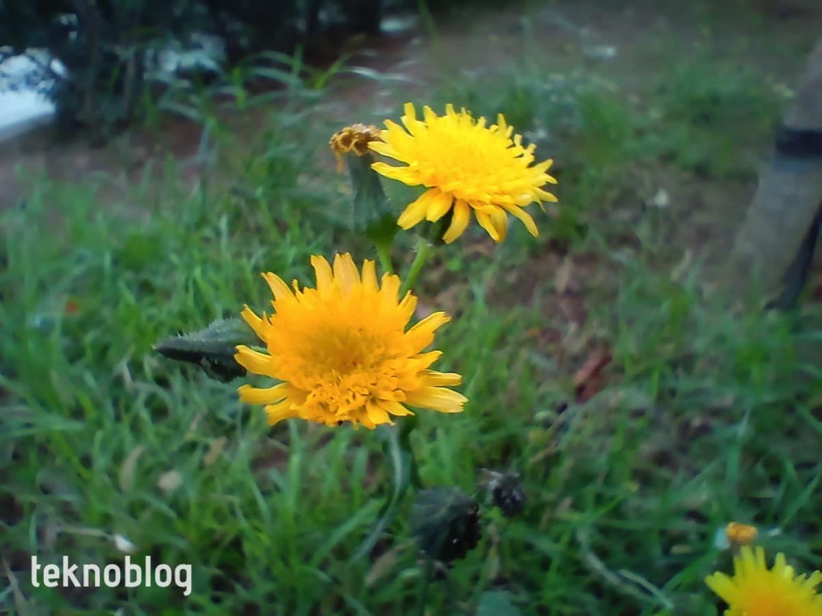 Oppo A55 İncelemesi