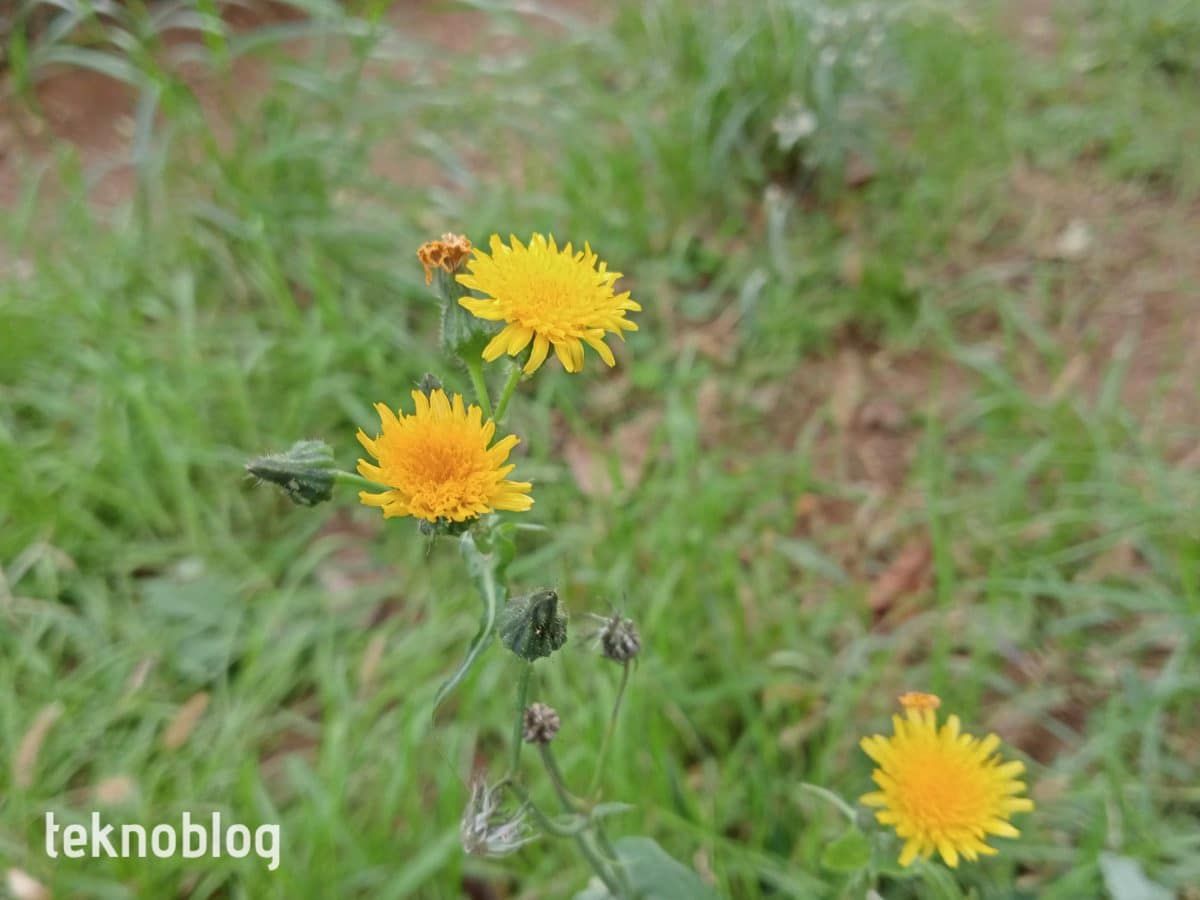 Oppo A55 İncelemesi