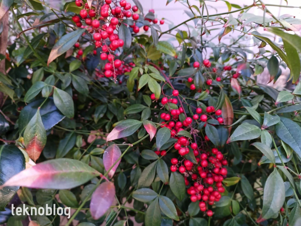 General Mobile GM 22 Pro İncelemesi