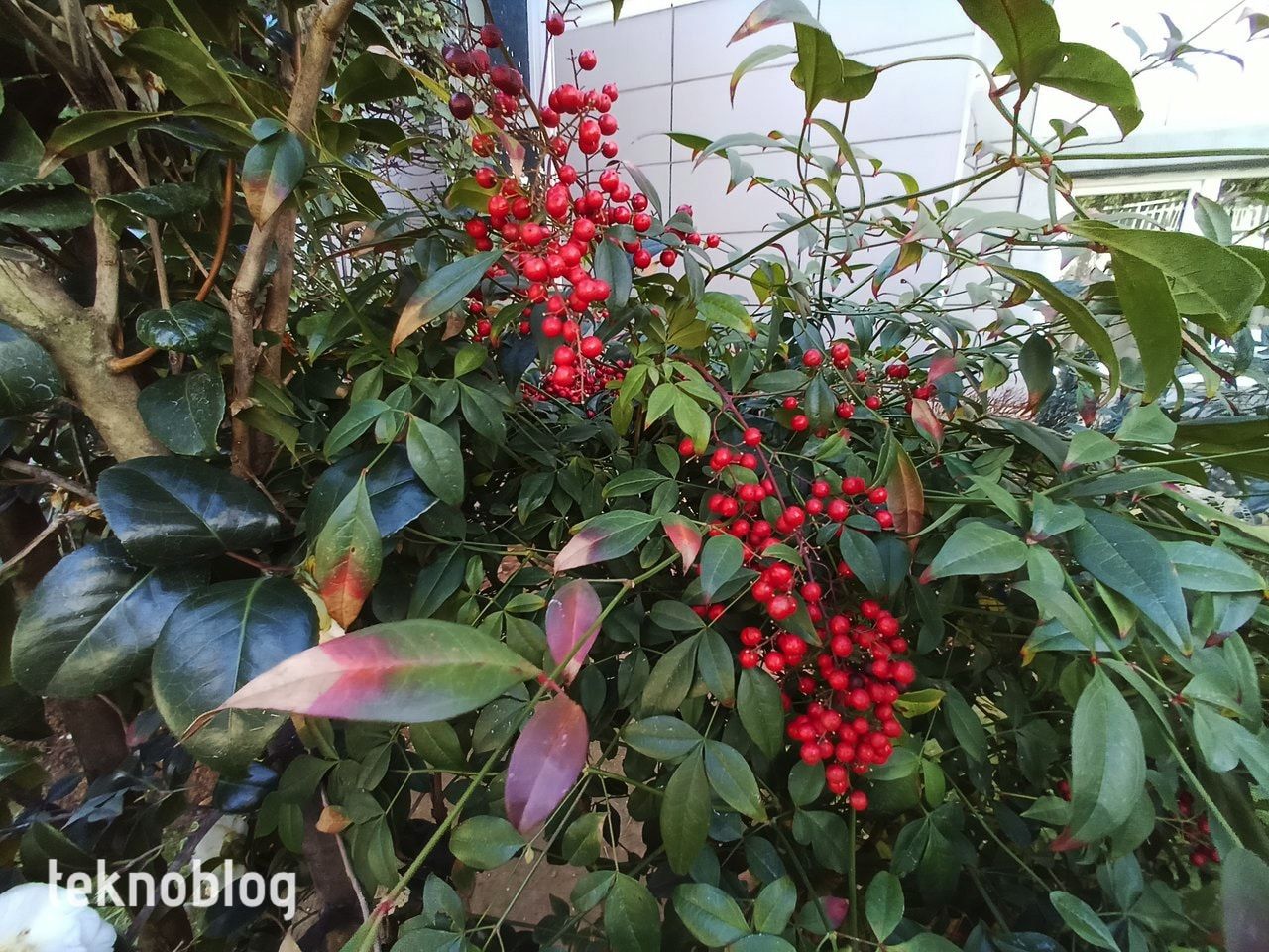 General Mobile GM 22 Pro İncelemesi