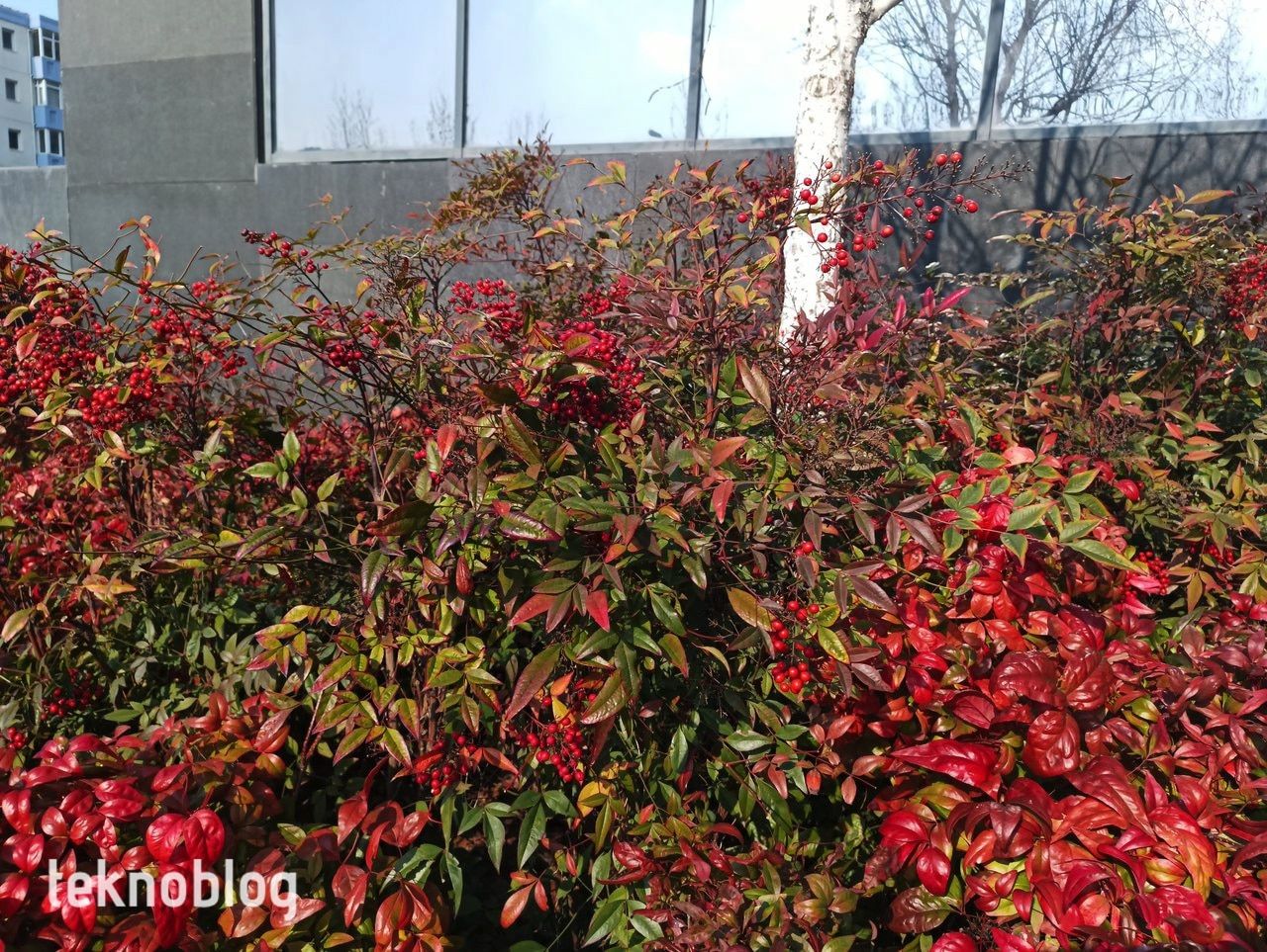 General Mobile GM 22 Pro İncelemesi