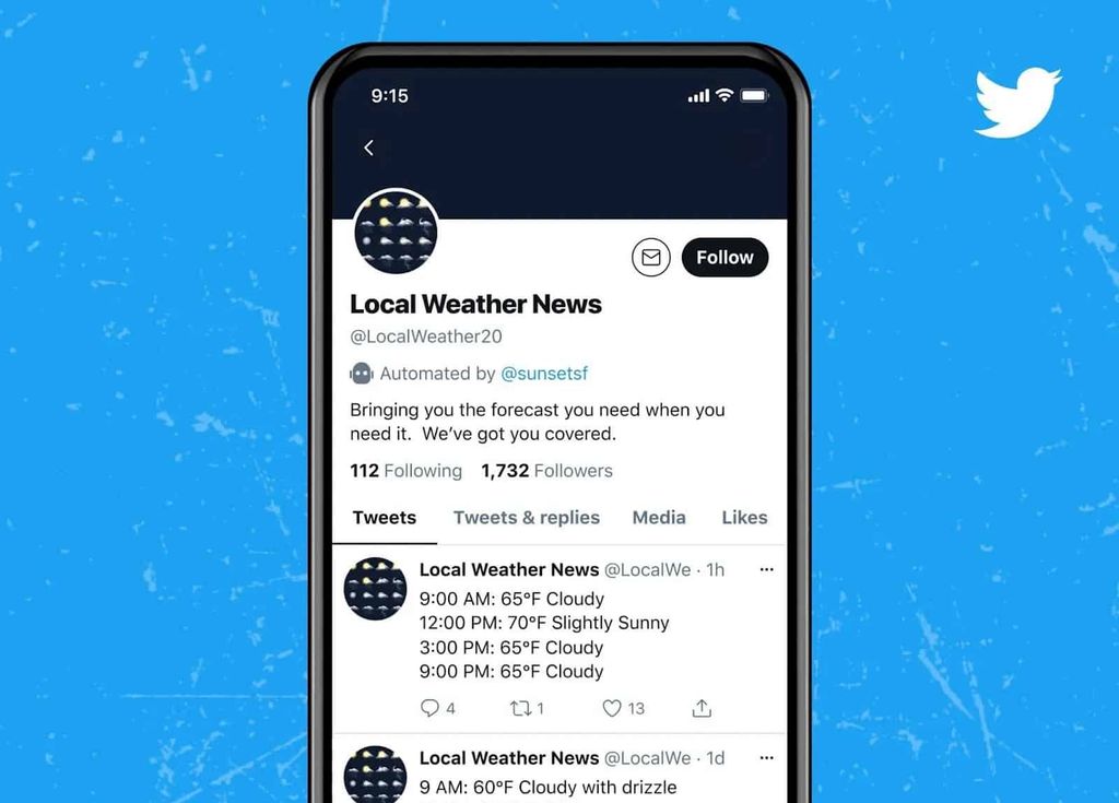 twitter otomatik hesaplar