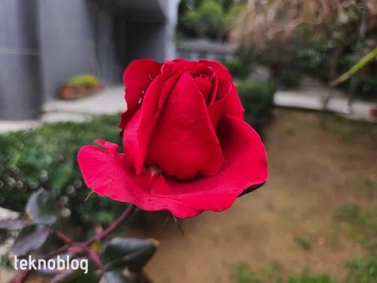 Samsung Galaxy S22+ İncelemesi