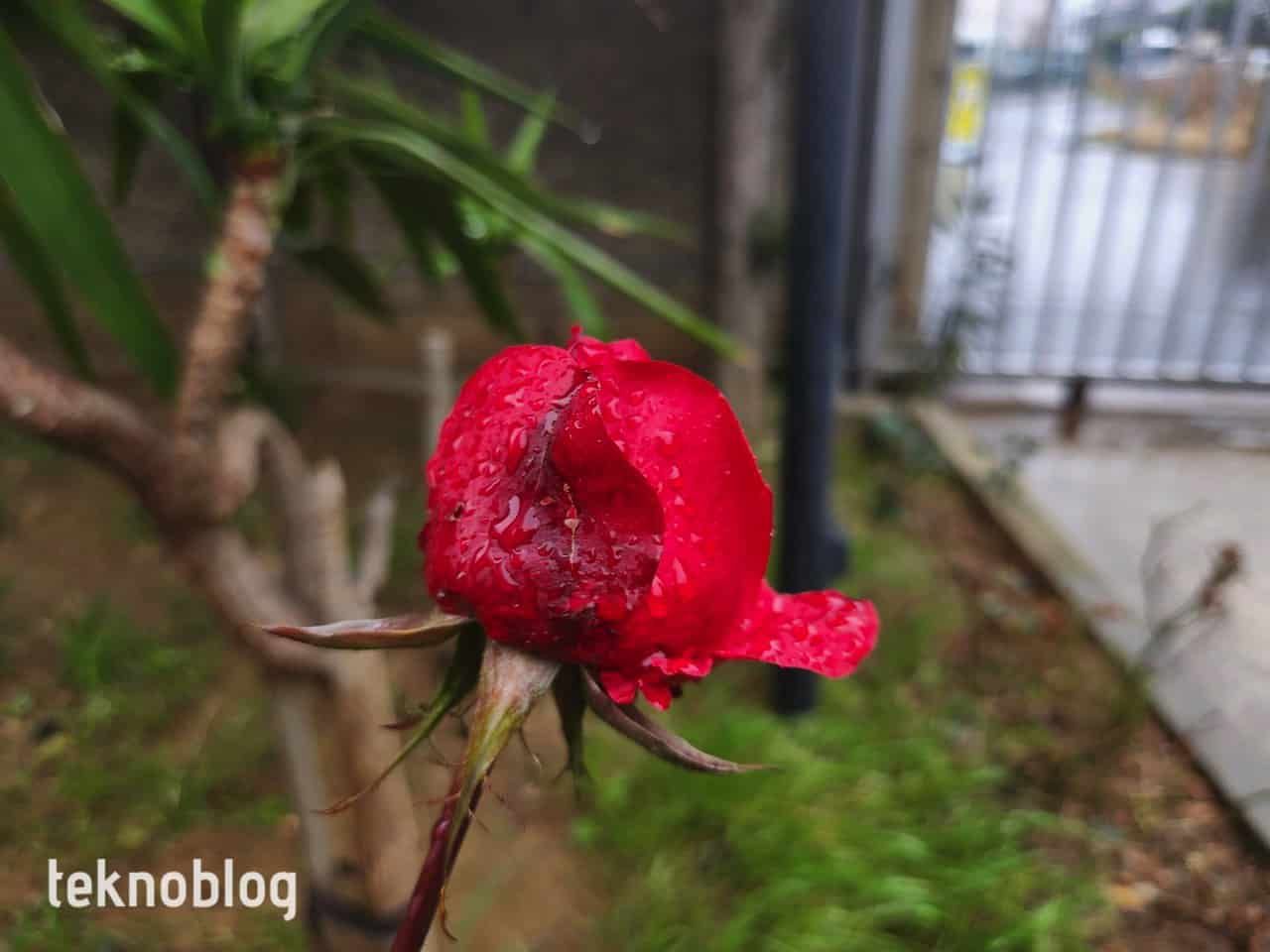 Samsung Galaxy S22+ İncelemesi