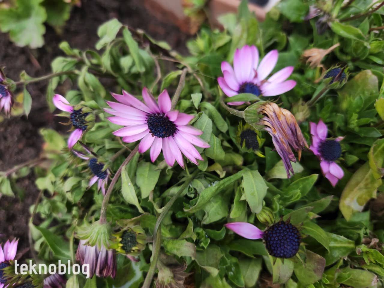 Samsung Galaxy S22+ İncelemesi