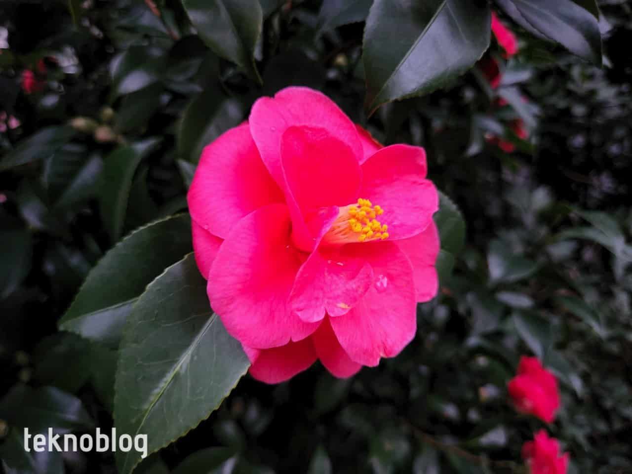 Samsung Galaxy S22+ İncelemesi