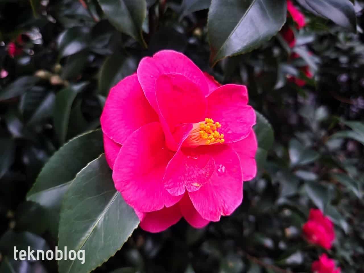 Samsung Galaxy S22+ İncelemesi