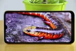 General Mobile GM 22 İncelemesi