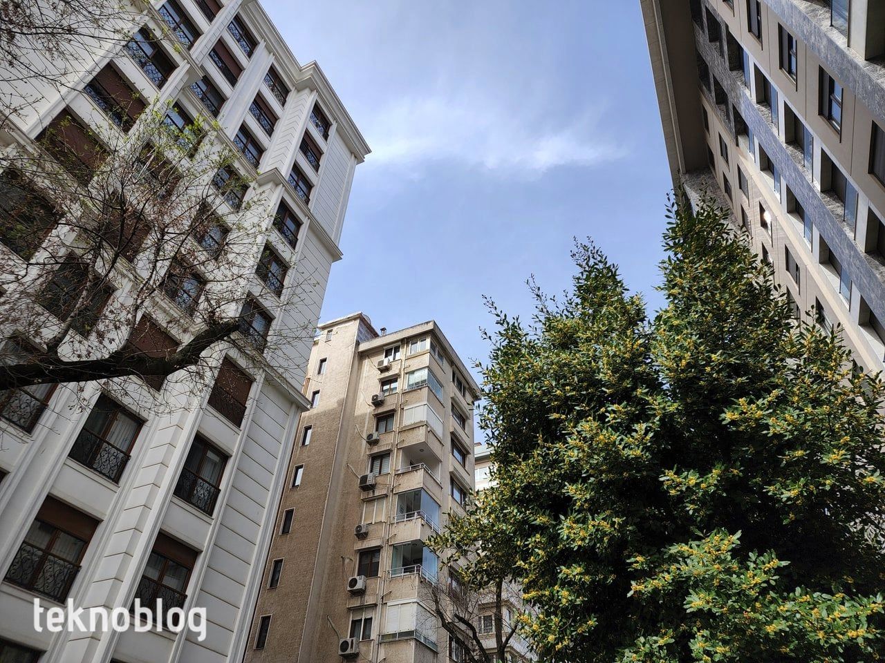 Samsung Galaxy S22 Ultra İncelemesi