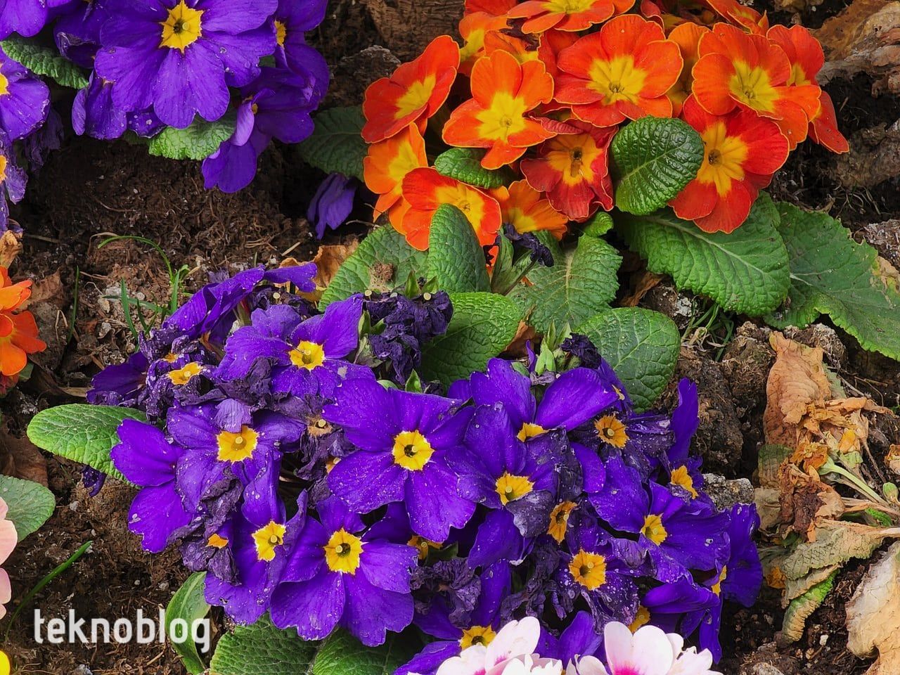 Samsung Galaxy S22 Ultra İncelemesi