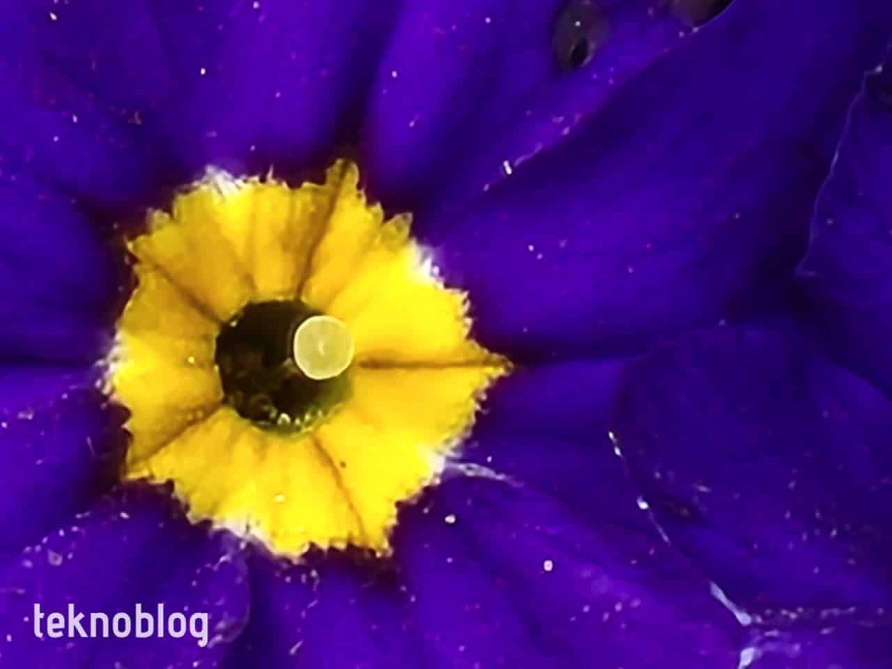 Samsung Galaxy S22 Ultra İncelemesi