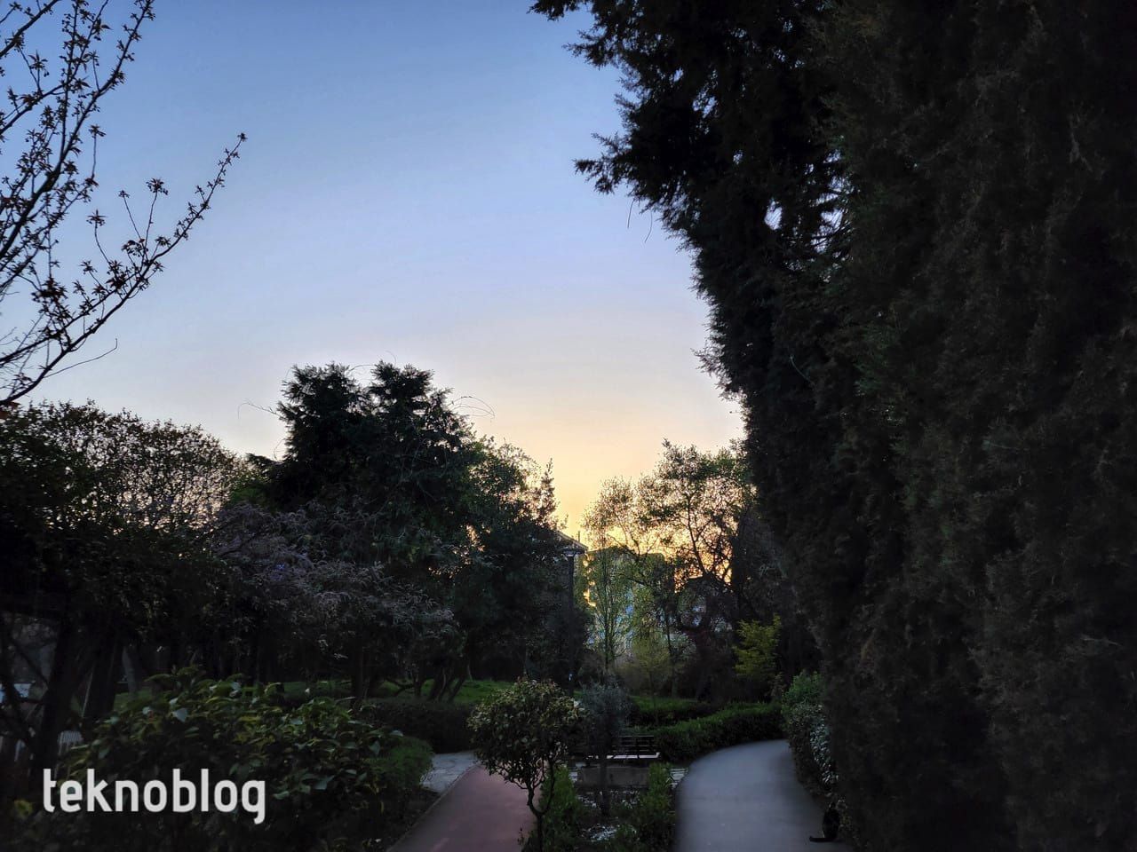 Samsung Galaxy S22 Ultra İncelemesi