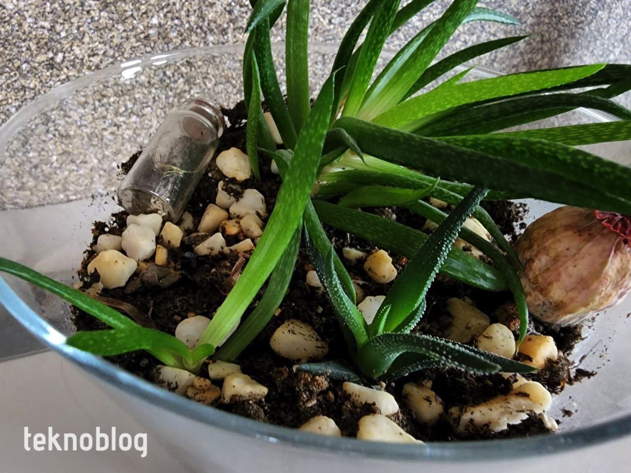 Samsung Galaxy S22 Ultra İncelemesi