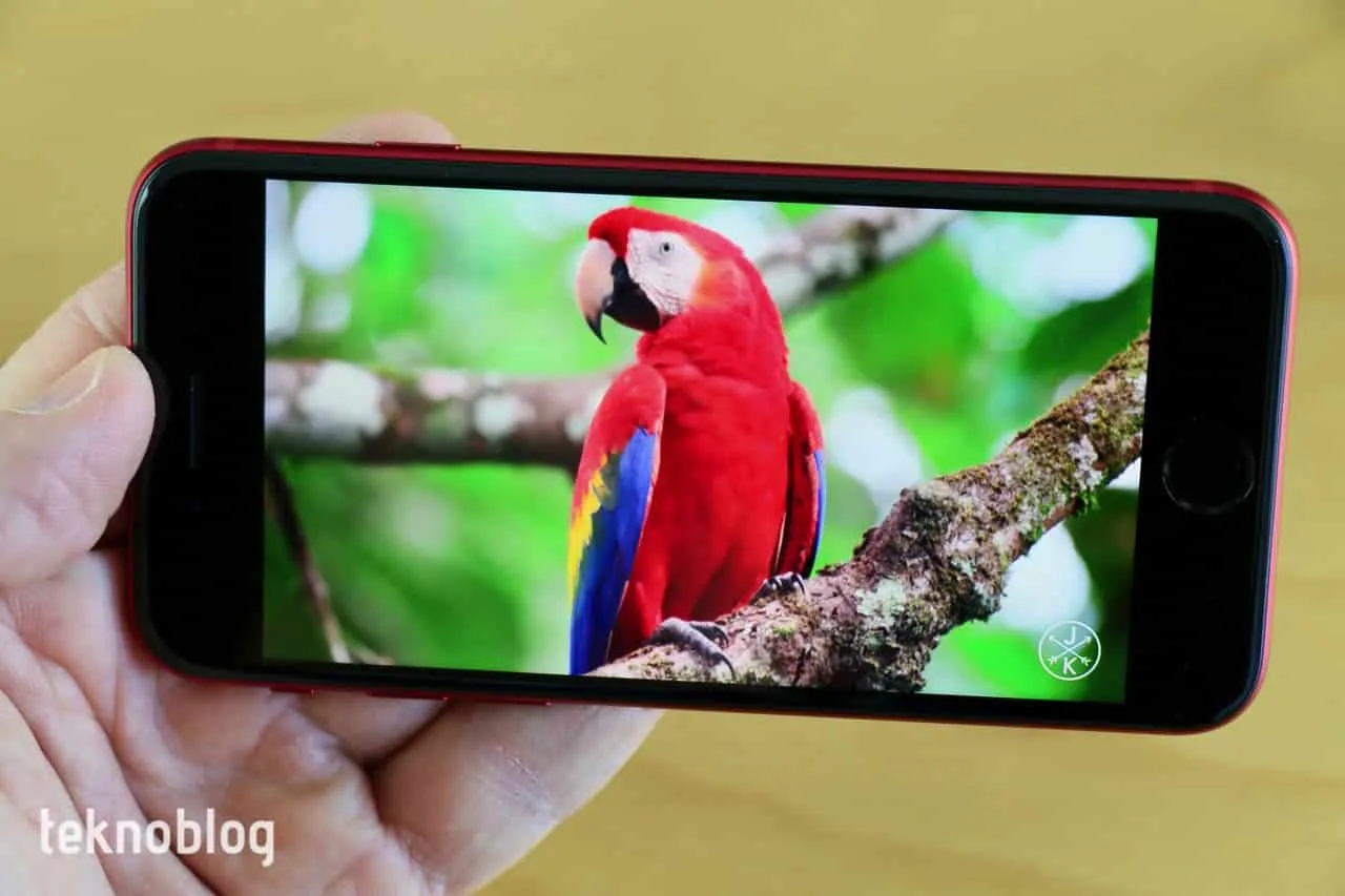 iPhone SE 4, iPhone 14’ün pilini devralacak