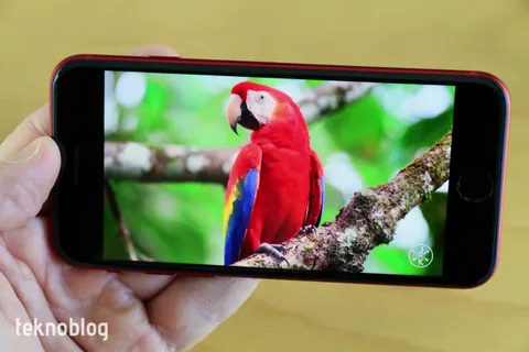 iPhone SE 4, iPhone 14’ün pilini devralacak