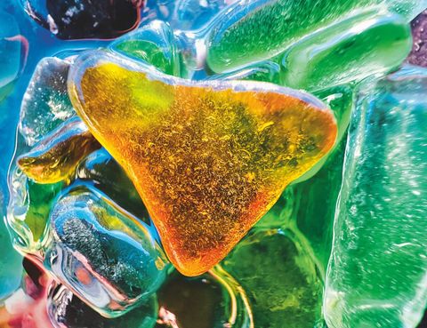 apple shot on iphone macro challenge