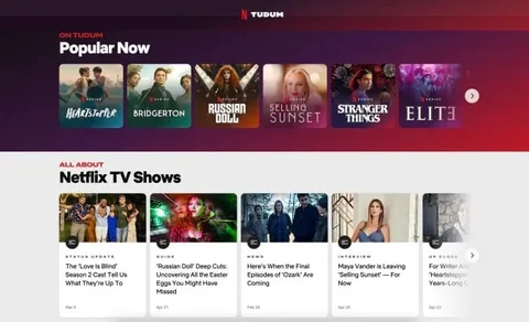 Netflix’ten Tudum sitesi için ilginç karar