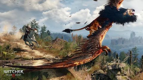 the witcher 3: wild hunt