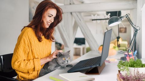 acer aspire vero