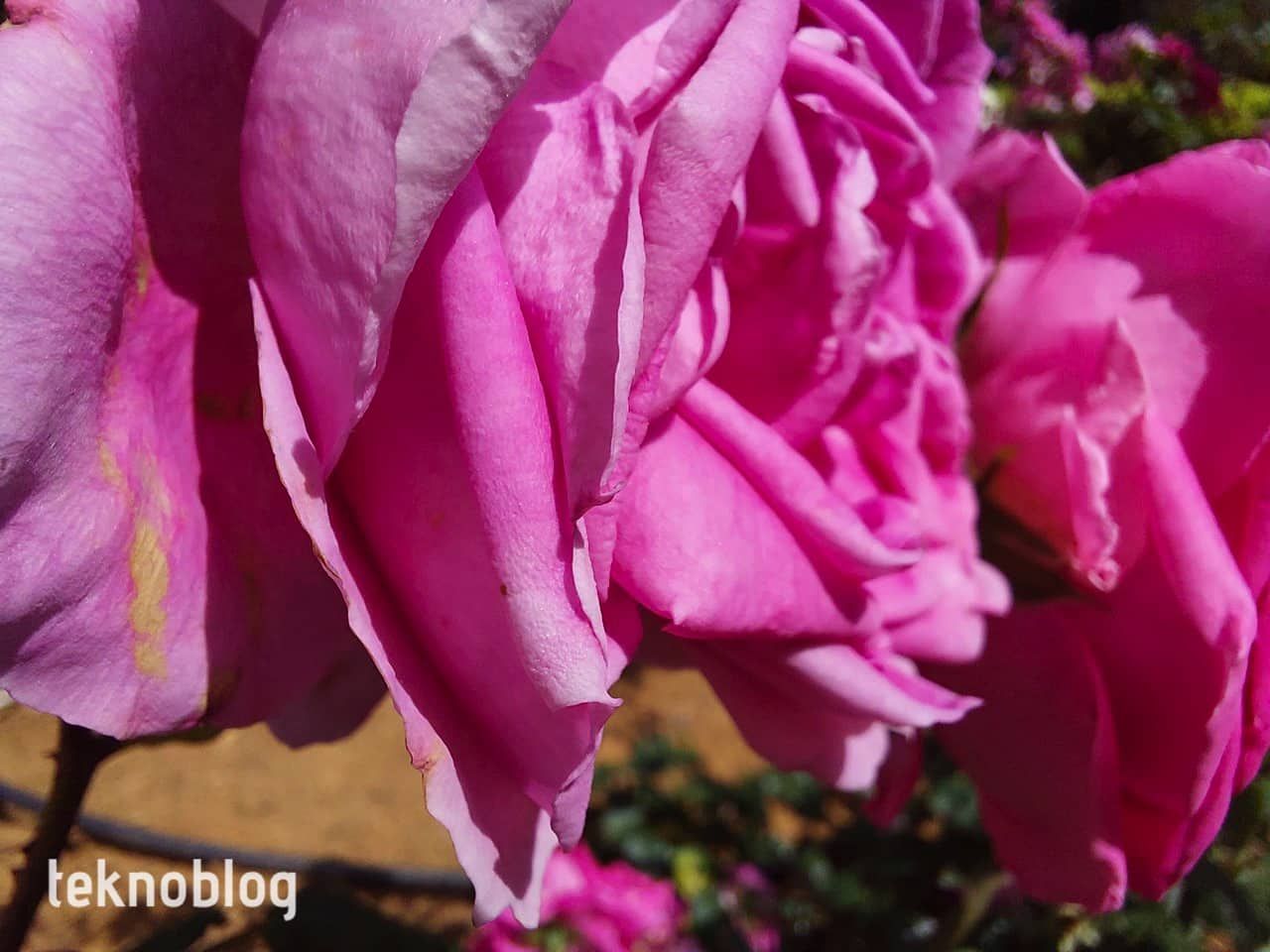 Samsung Galaxy A73 5G İncelemesi