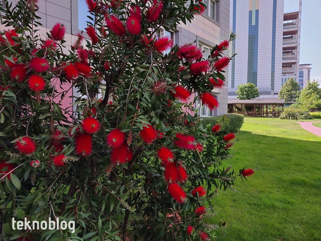 Samsung Galaxy A73 5G İncelemesi