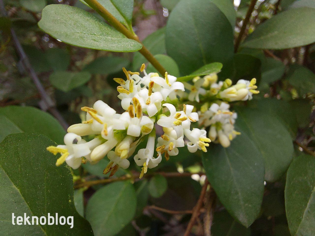 Samsung Galaxy A73 5G İncelemesi