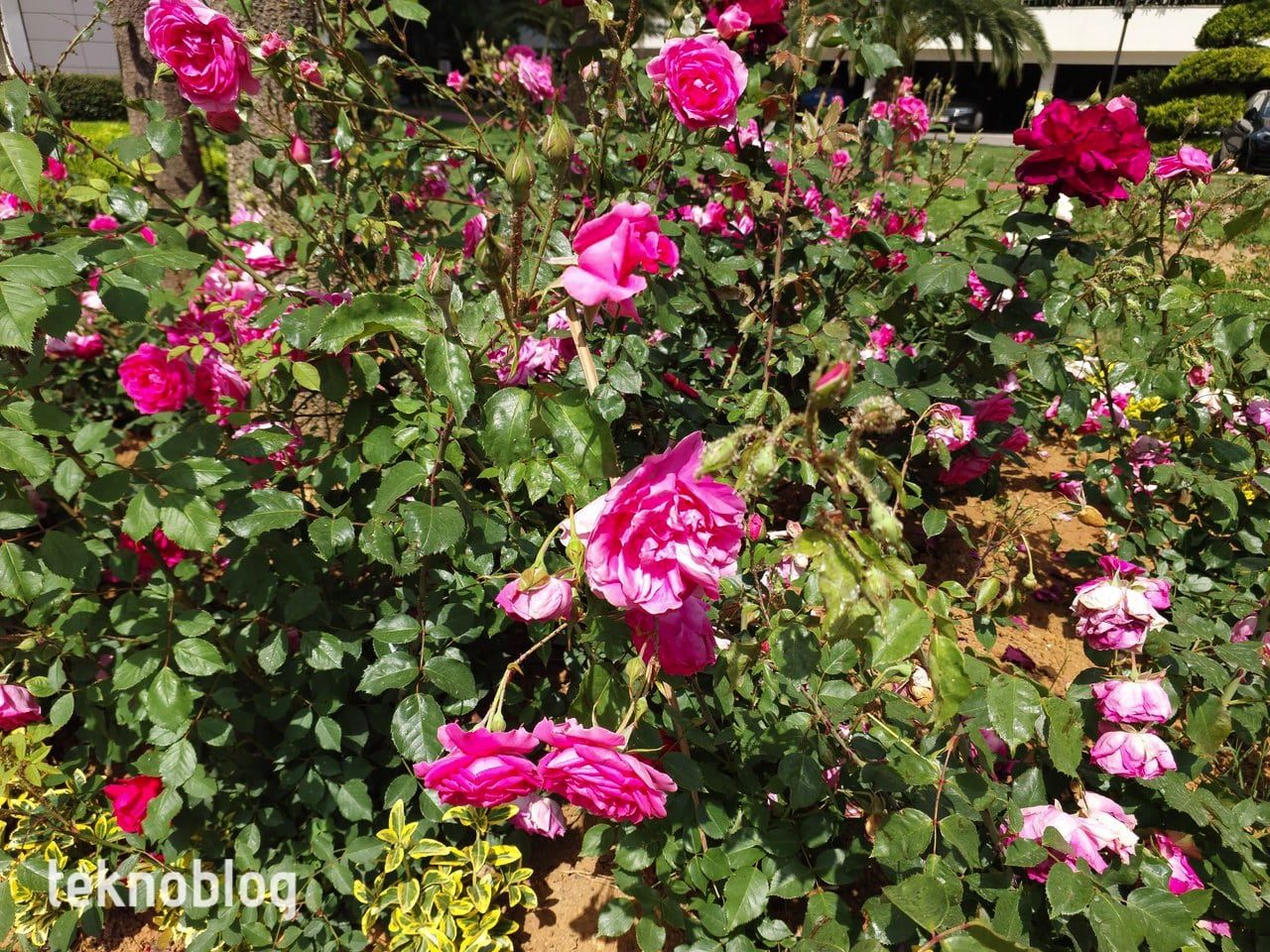 Samsung Galaxy A73 5G İncelemesi