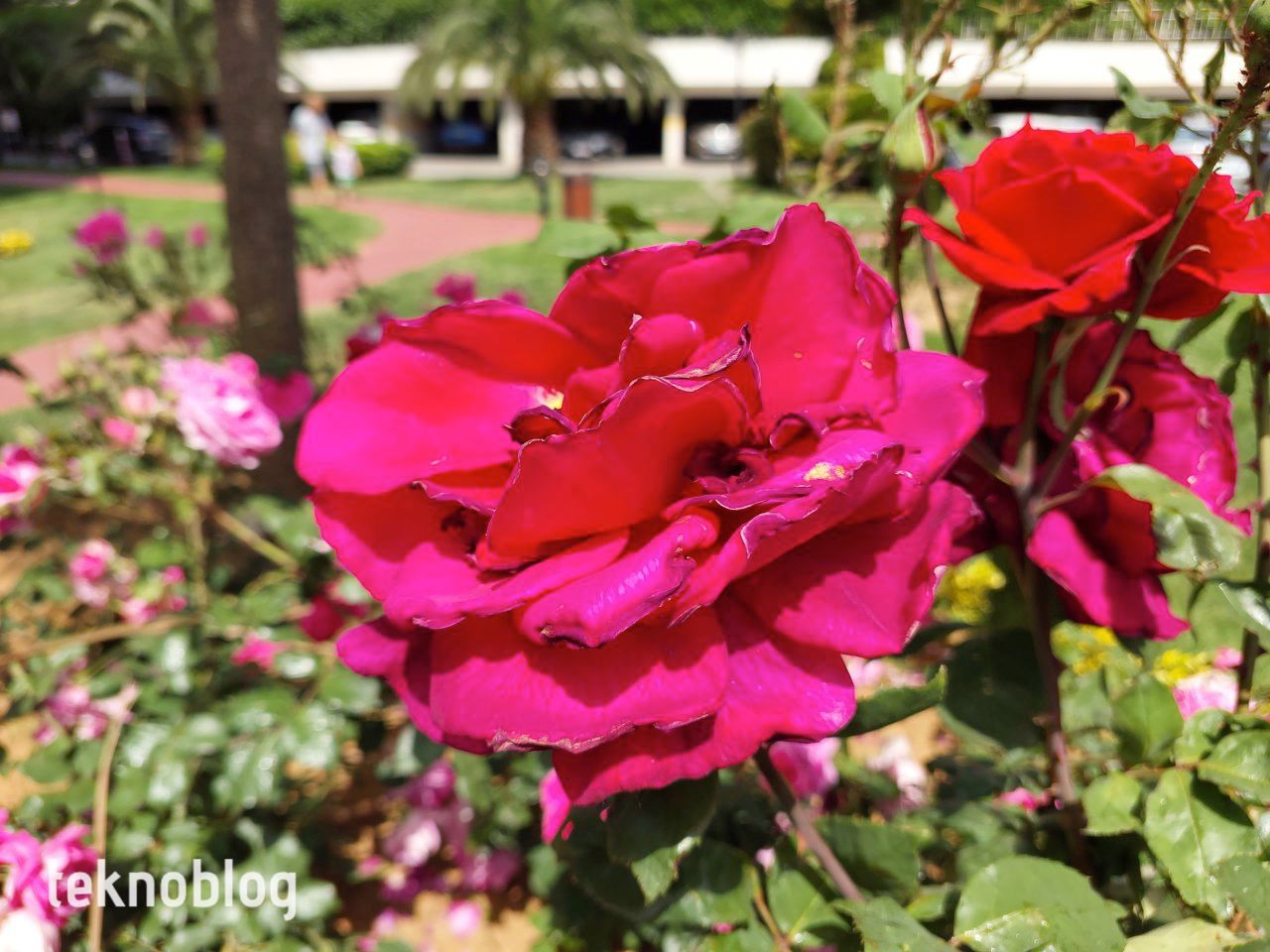 Samsung Galaxy A73 5G İncelemesi