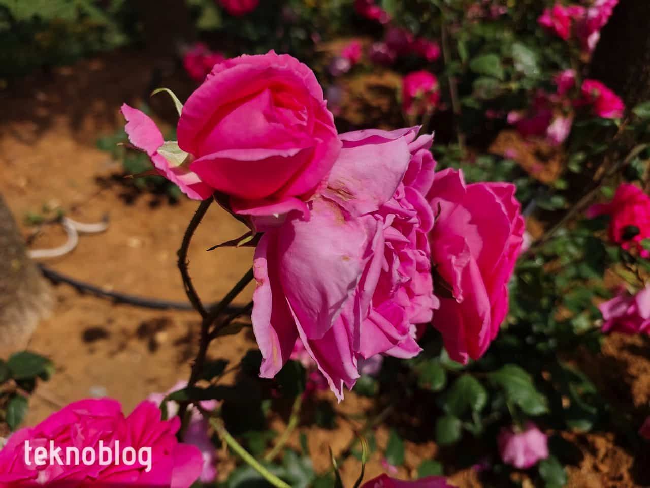 Samsung Galaxy A73 5G İncelemesi