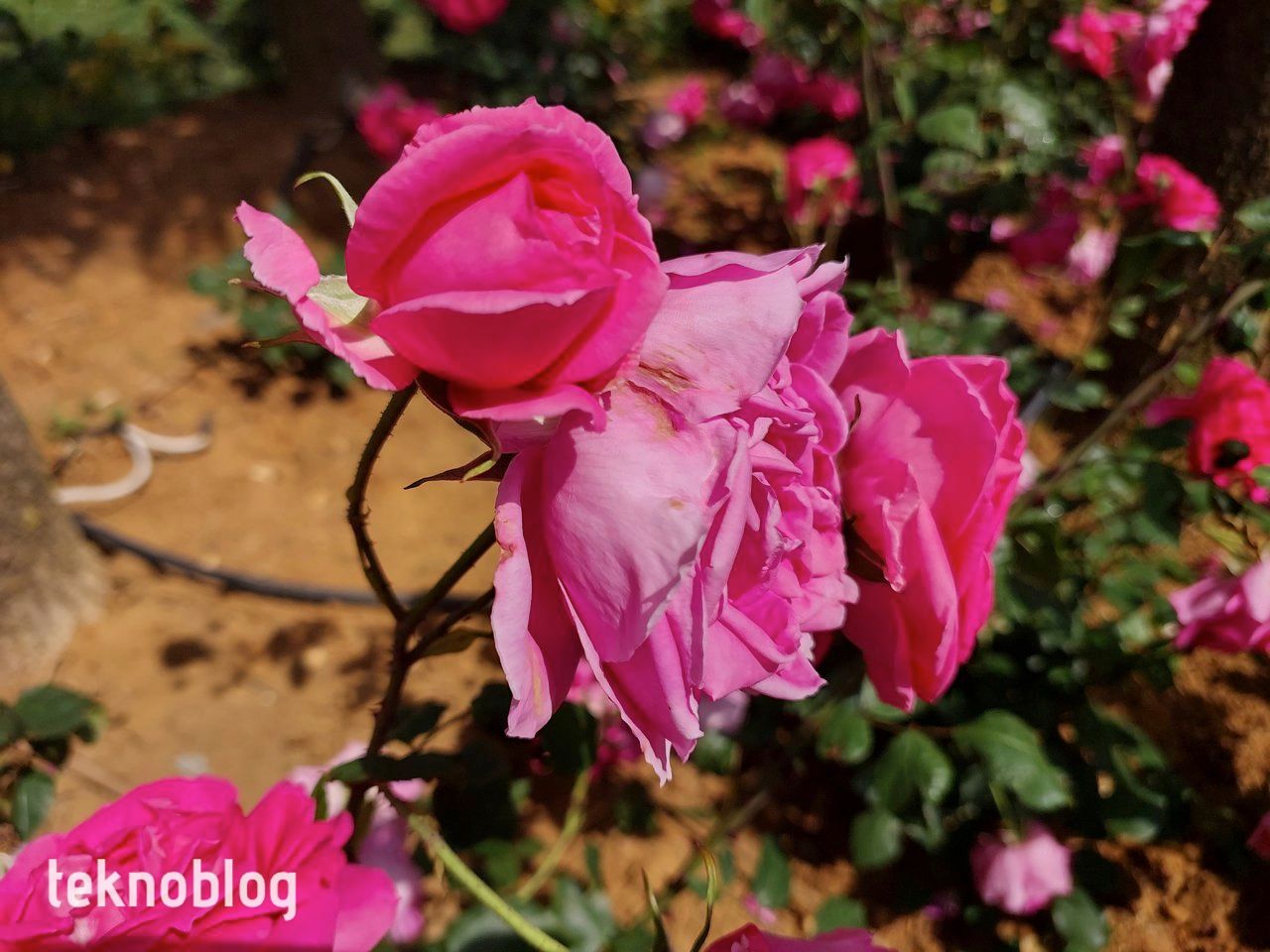 Samsung Galaxy A73 5G İncelemesi