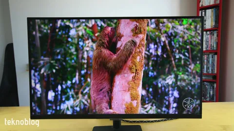 Samsung S27A700 İncelemesi: Bir yıla yakın bir deneyimin ardından