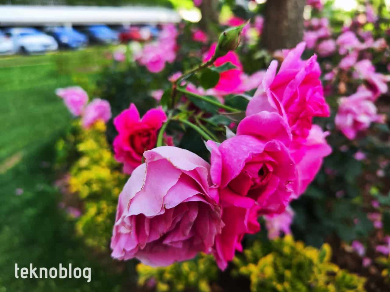 Xiaomi 12 Pro İncelemesi