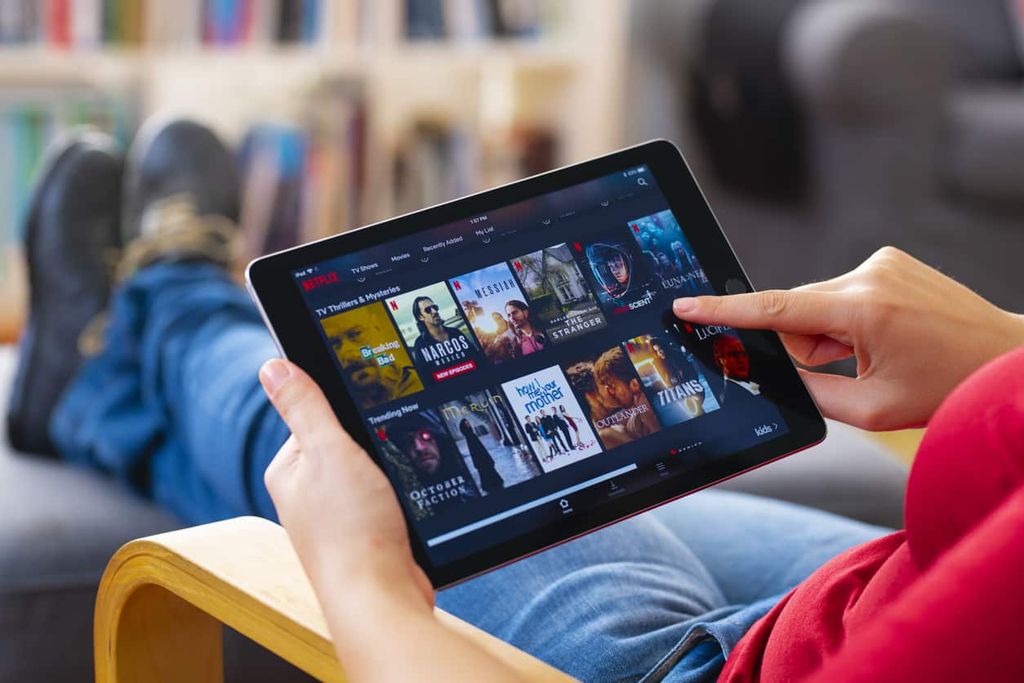 netflix abone sayısı
