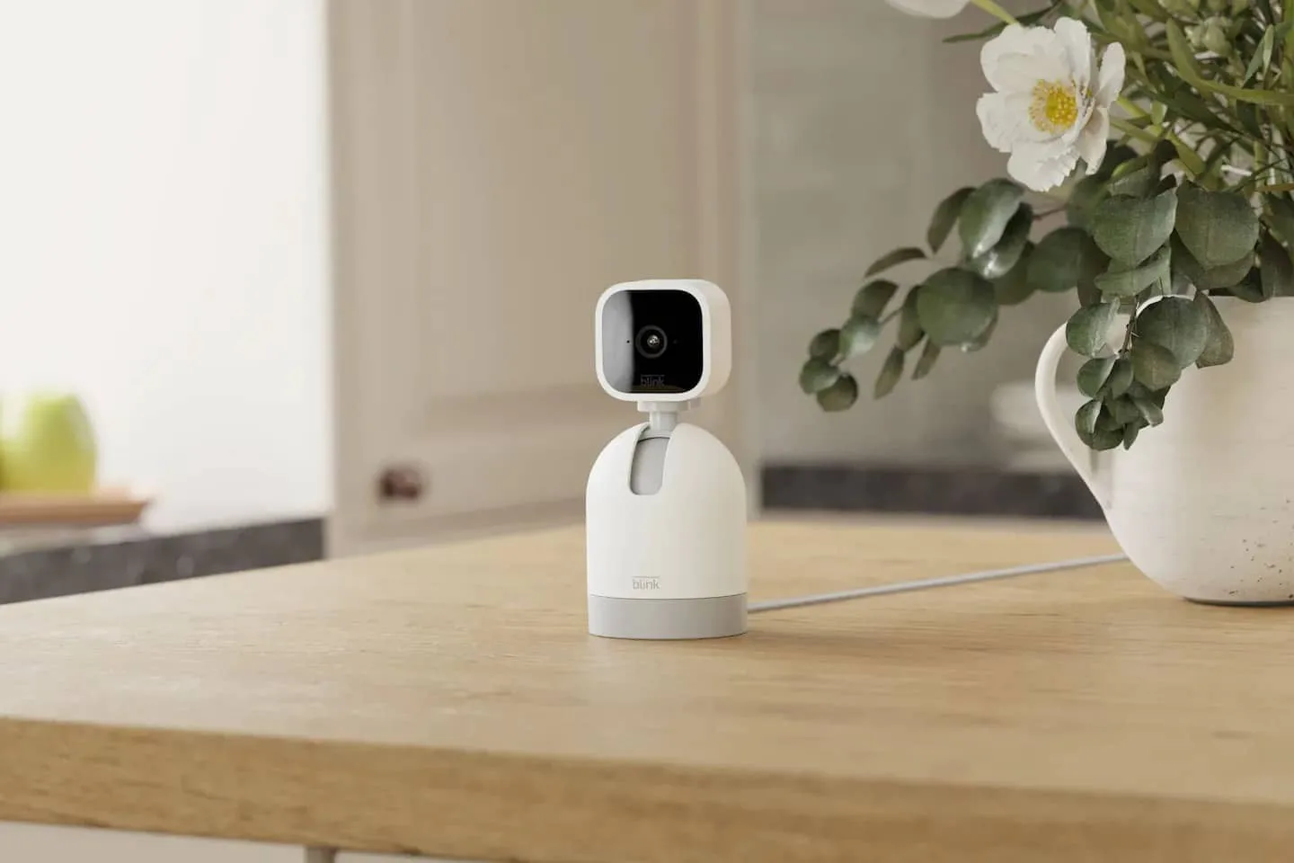blink mini