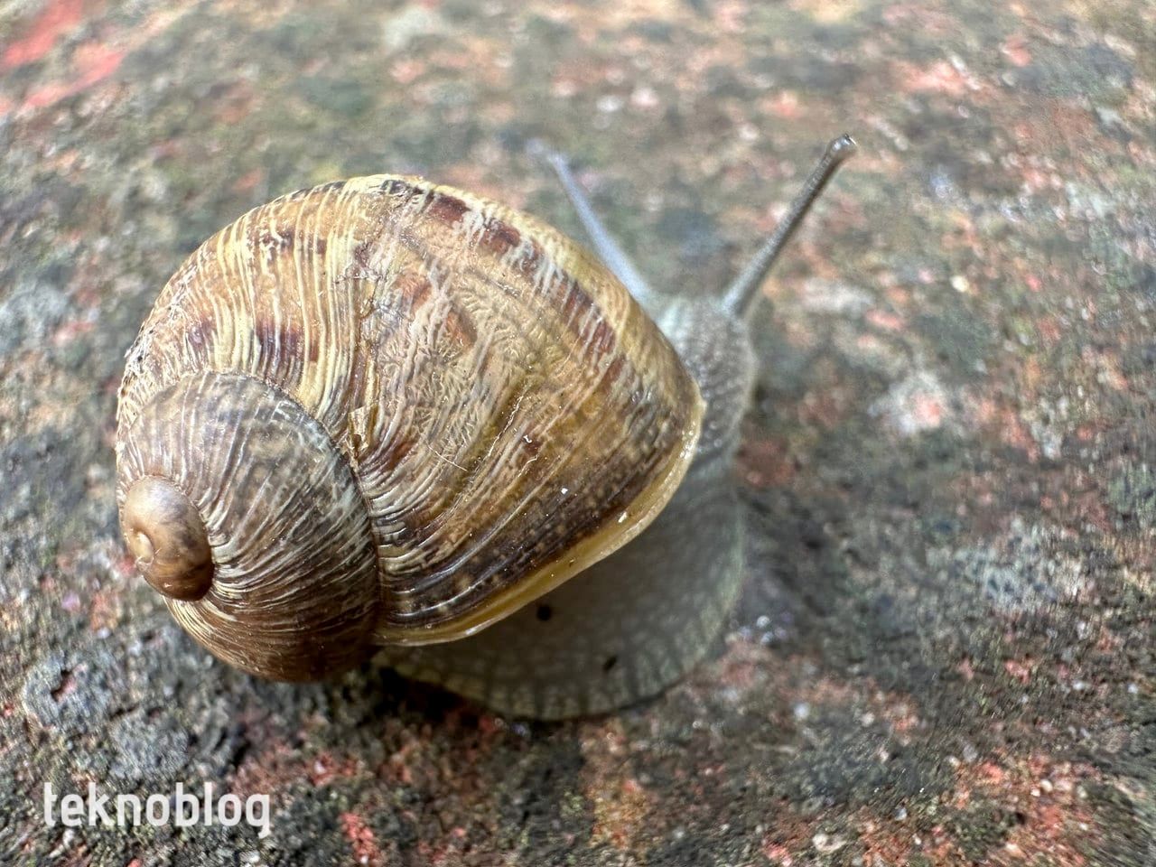 iphone 14 pro inceleme