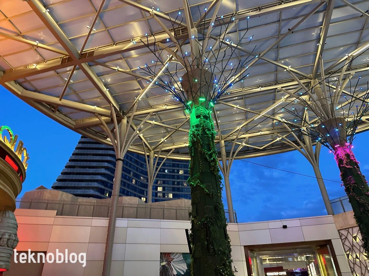 iPhone 14 Pro İncelemesi