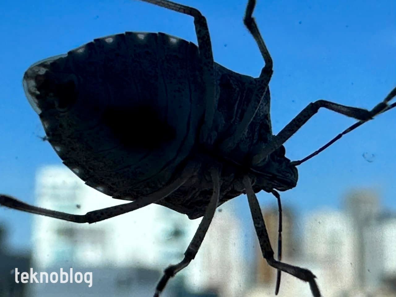 iPhone 14 Pro İncelemesi